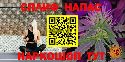 СК Гусиноозёрск