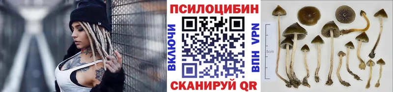 Псилоцибиновые грибы GOLDEN TEACHER  Кореновск 