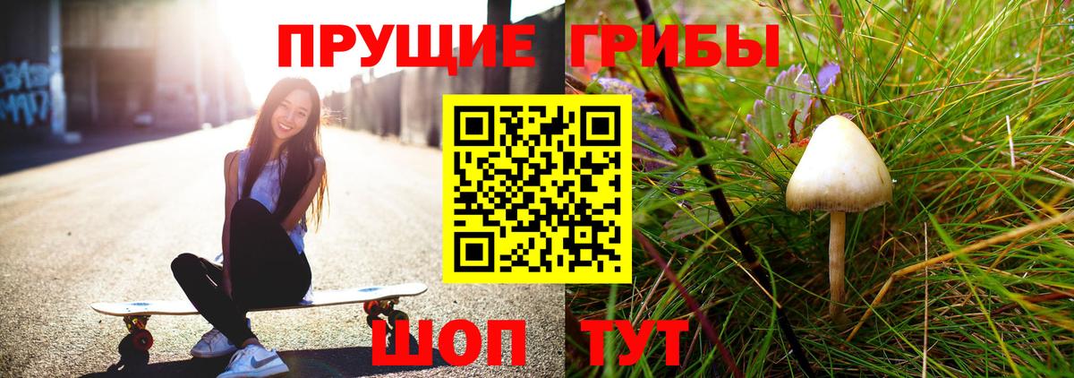 Галлюциногенные грибы мицелий  Вход с VPN  как найти   Кореновск 