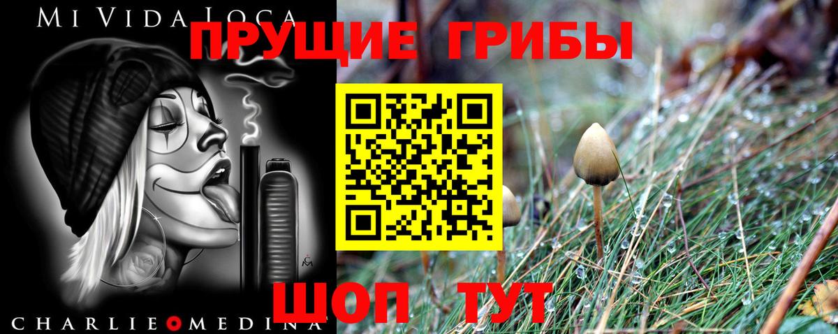 Псилоцибиновые грибы Psilocybe Кореновск