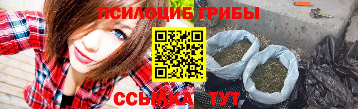 Псилоцибиновые грибы GOLDEN TEACHER  Кореновск 